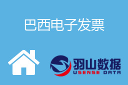巴西电子发票
