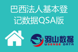 巴西法人基本登记数据QSA版