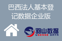 巴西法人基本登记数据企业版