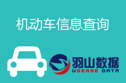 机动车信息查询
