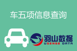 车五项信息查询