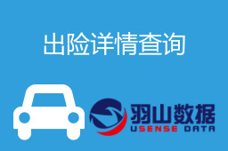 出险详情查询