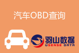 汽车OBD查询