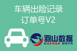 车辆出险记录订单号V2