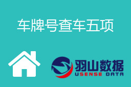 车牌号查车五项