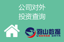公司对外投资查询