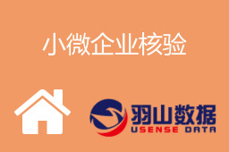 小微企业核验
