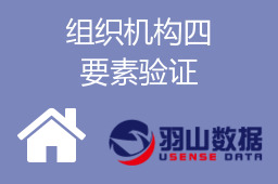 组织机构四要素验证