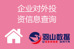 企业对外投资信息查询