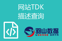 网站TDK描述查询