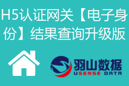 H5认证网关【电子身份】结果查询升级版