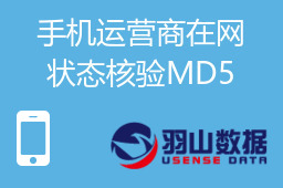 手机运营商在网状态核验MD5