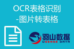 OCR表格识别-图片转表格