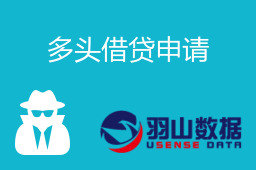 多头借贷申请