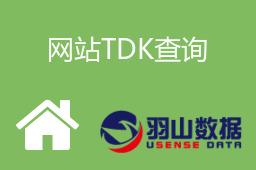 网站TDK查询