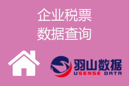 企业税票数据查询